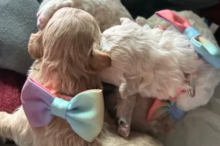 TO REAL FOR THE GAMES 😘 - 30 - Image 4